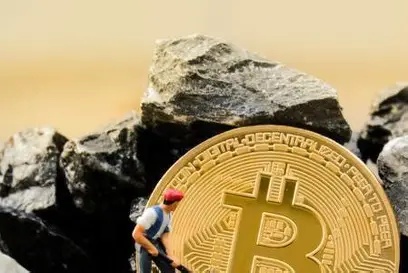 A technician meticulously inspects a row of powerful mining rigs, highlighting the need for careful maintenance and efficient hosting services.
