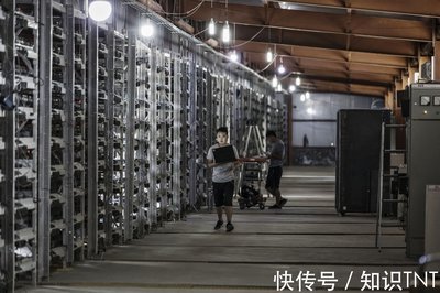 Modern mining farm setup